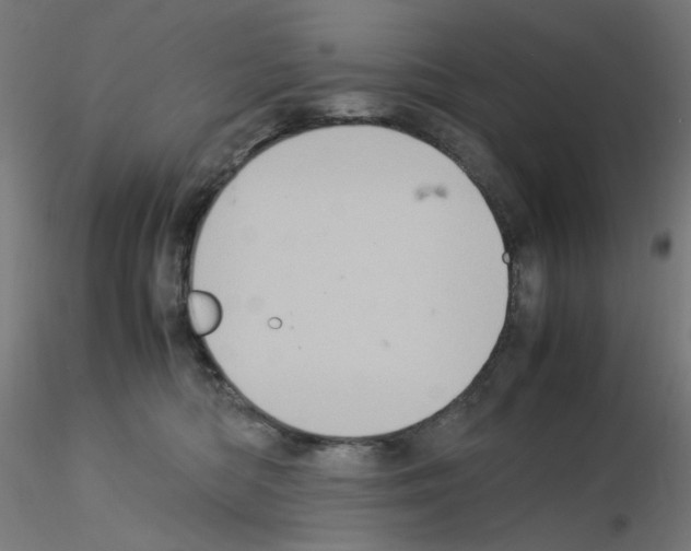 X0000115560422200912181622