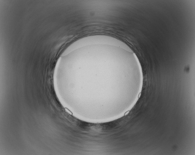 X0000115560423200912181622