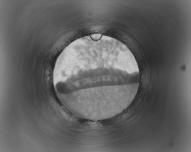 X0000115560424200912181622