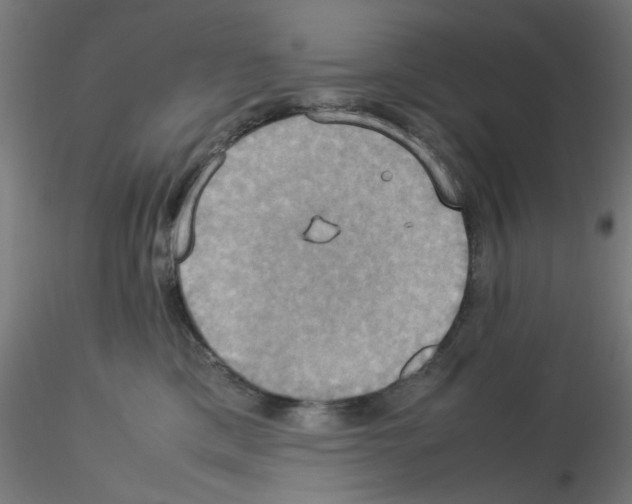 X0000115560425200912181622