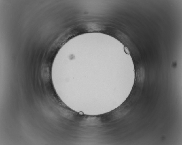 X0000115560426200912181622