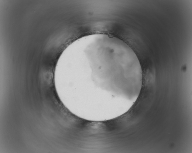 X0000115560427200912181622