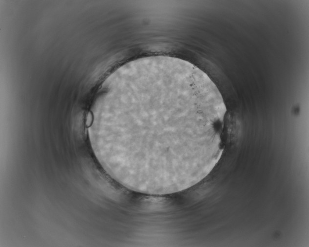 X0000115560428200912181622