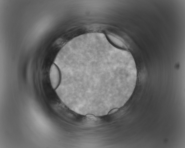 X0000115560429200912181622