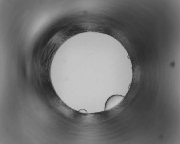 X0000115560430200912181621