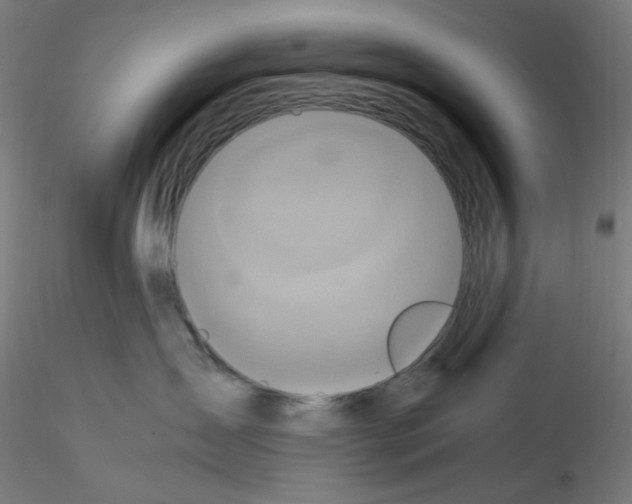 X0000115560431200912181621