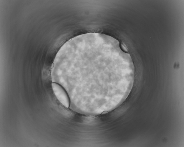 X0000115560432200912181621