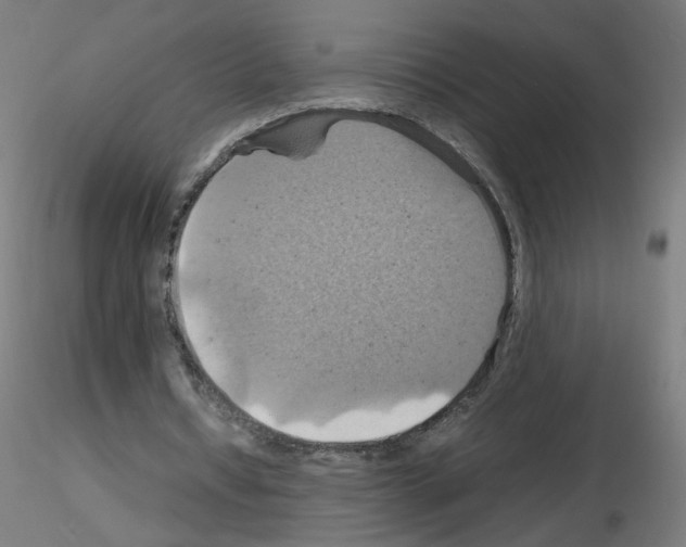 X0000115560434200912181621