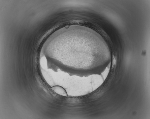 X0000115560435200912181621