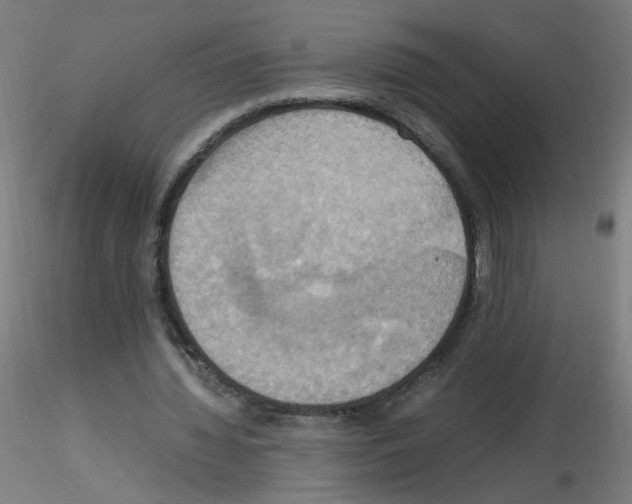 X0000115560436200912181621