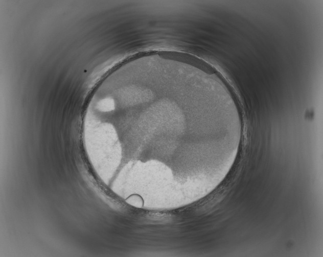 X0000115560437200912181621