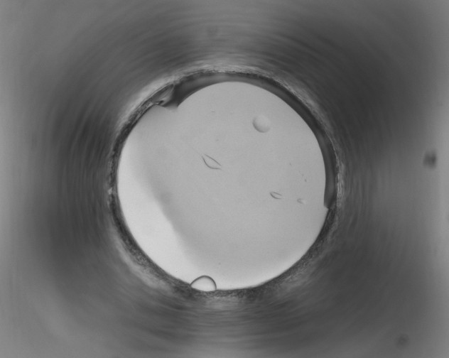 X0000115560438200912181621