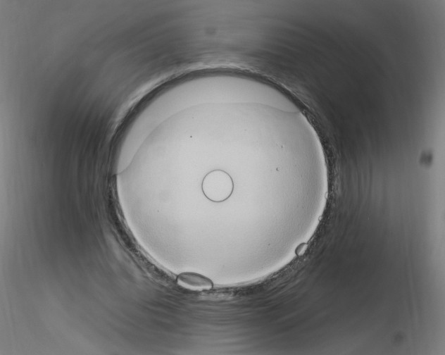 X0000115560440200912181621