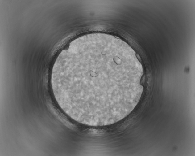 X0000115560442200912181621