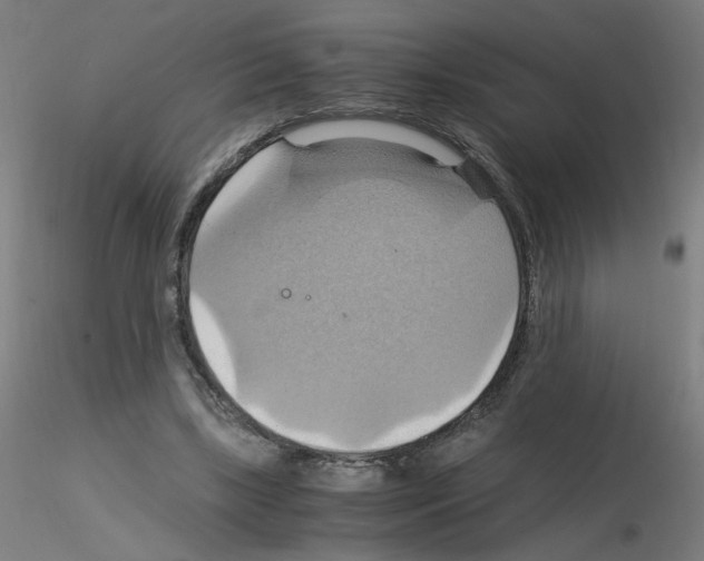 X0000115560443200912181621