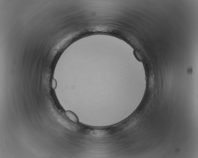 X0000115560444200912181621