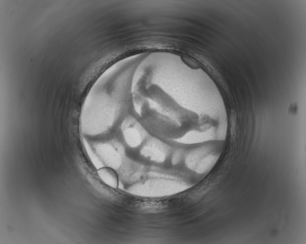 X0000115560445200912181621