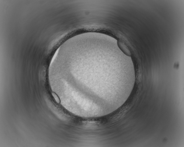 X0000115560448200912181621