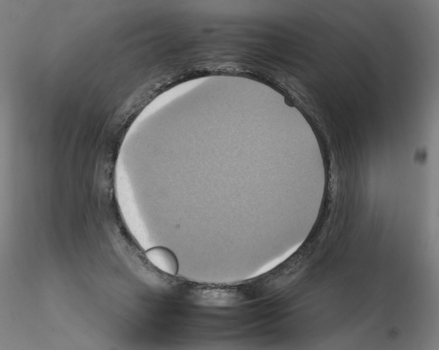 X0000115560449200912181621