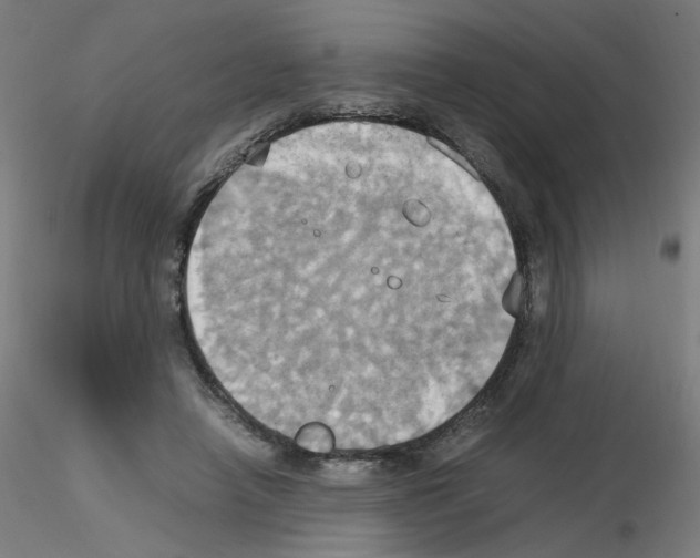 X0000115560450200912181621