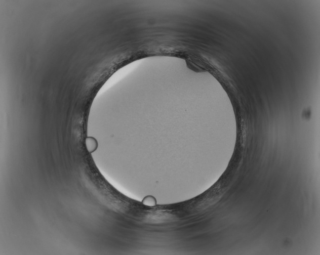 X0000115560451200912181621