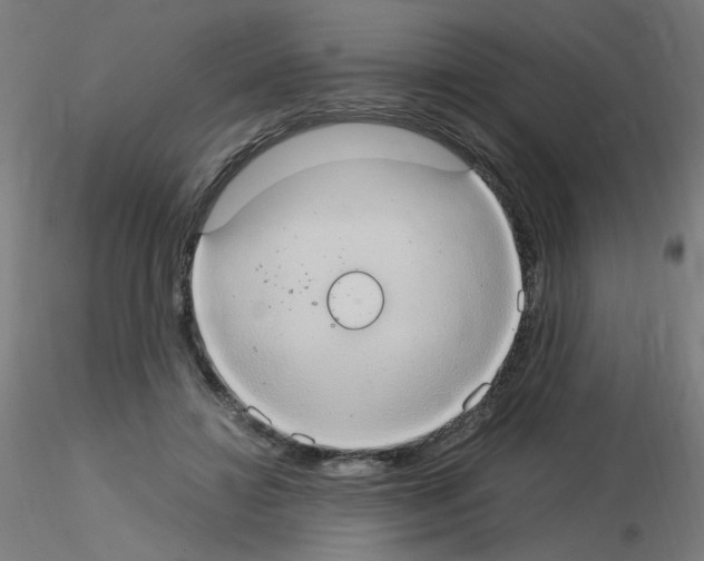 X0000115560452200912181621