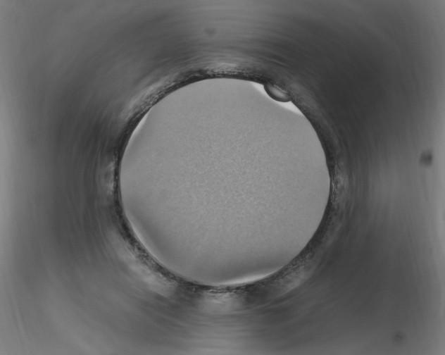 X0000115560454200912181621