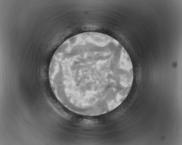 X0000115560455200912181621