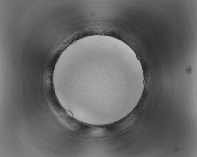 X0000115560456200912181621