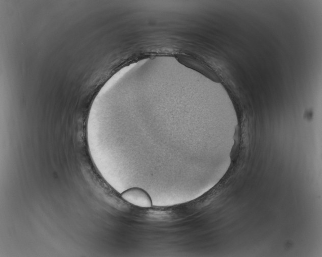 X0000115560457200912181621