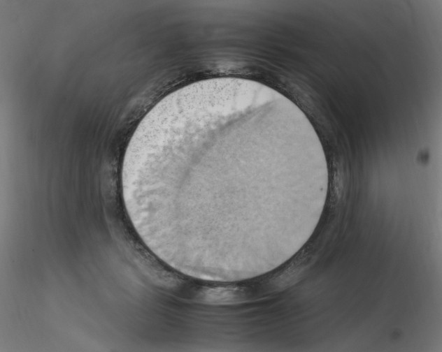 X0000115560461200912181621