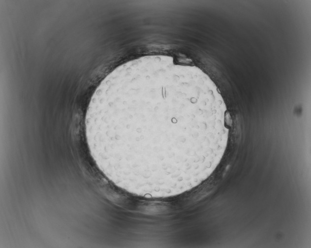 X0000115560463200912181621