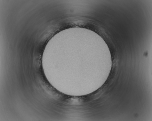 X0000115560464200912181621