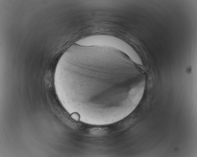 X0000115560465200912181621