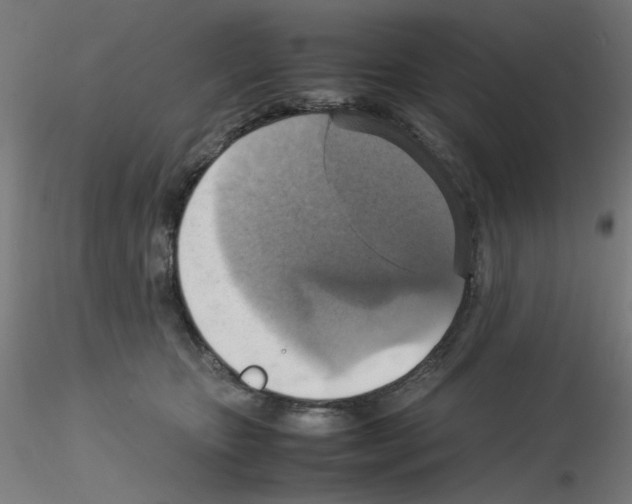 X0000115560467200912181621