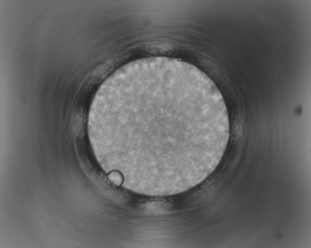 X0000115560468200912181621