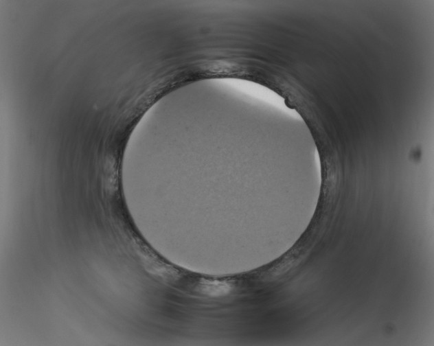 X0000115560469200912181621