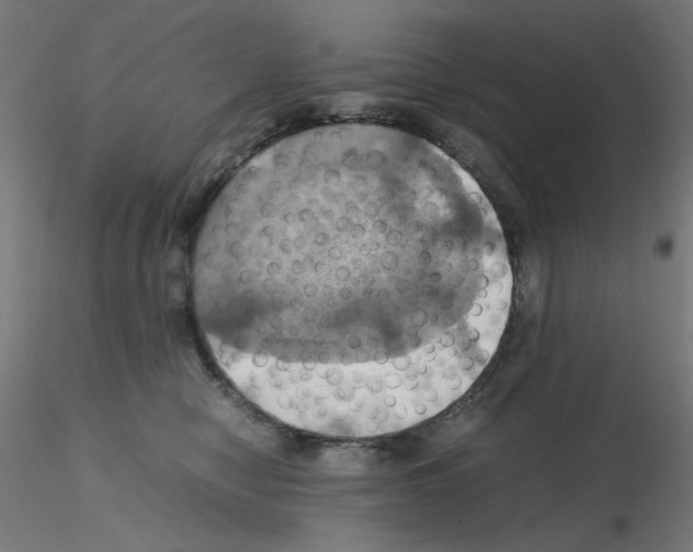 X0000115560470200912181621