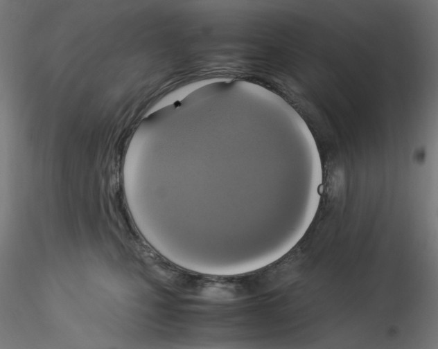 X0000115560471200912181621