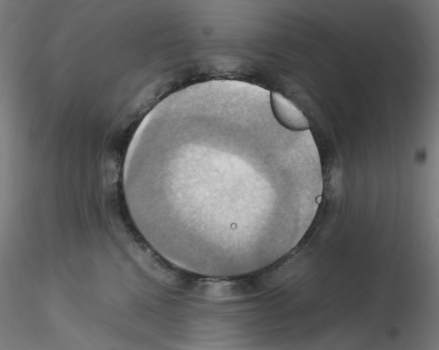 X0000115560472200912181621