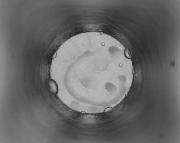 X0000115560473200912181621