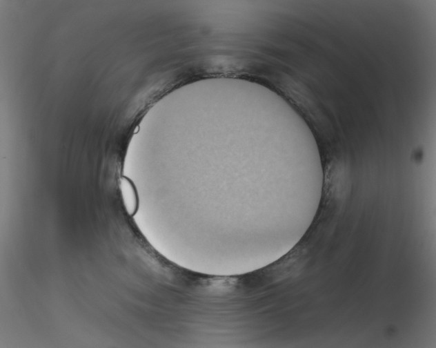 X0000115560474200912181621