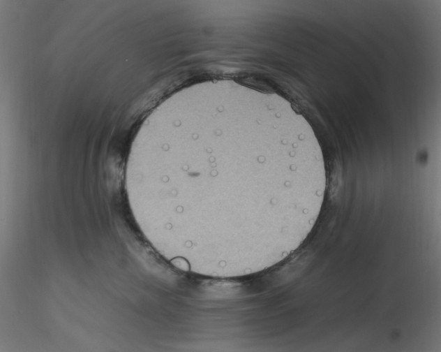 X0000115560476200912181621