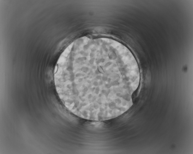 X0000115560478200912181621