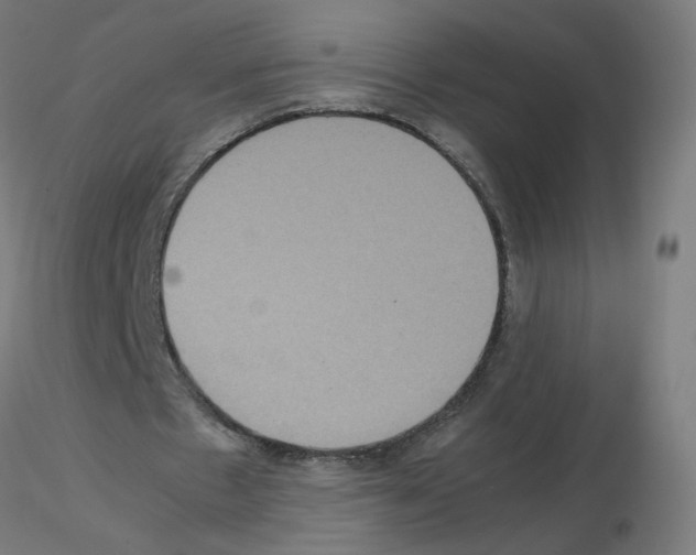 X0000115560481200912181621