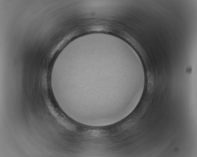 X0000115560482200912181621