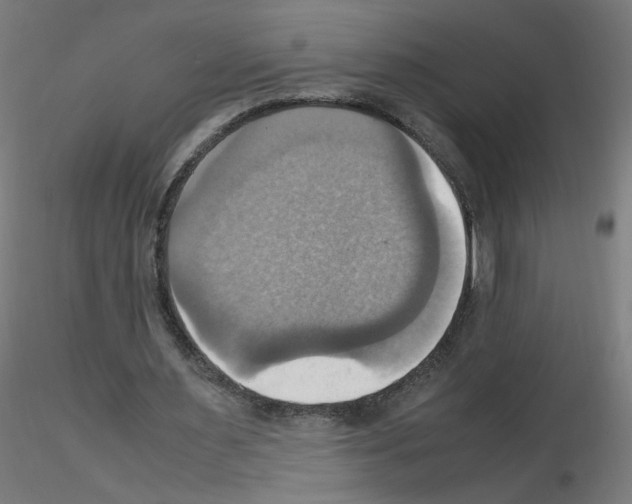 X0000115560483200912181621