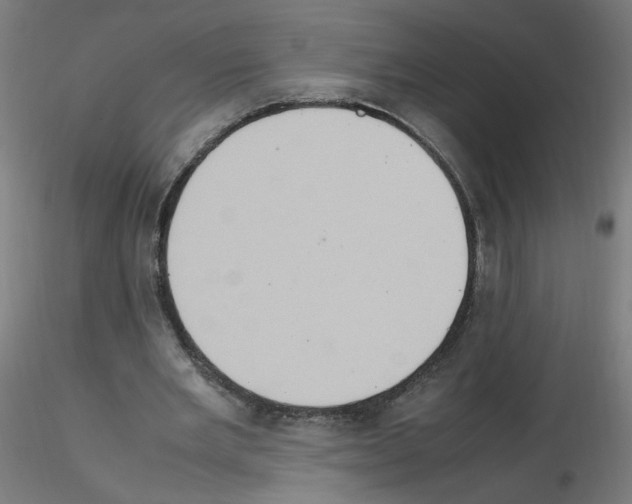 X0000115560485200912181621