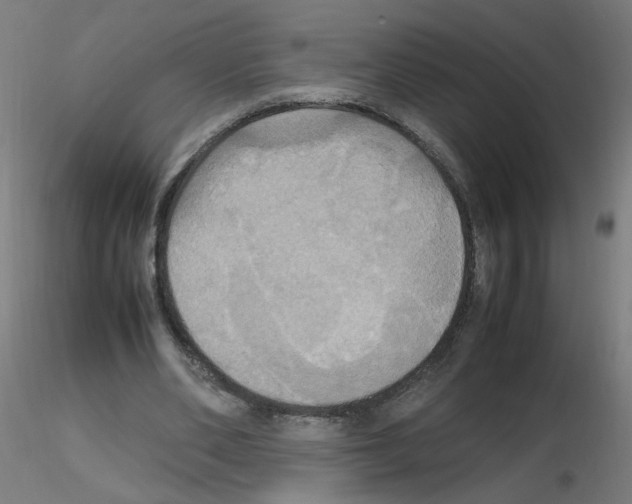 X0000115560486200912181621