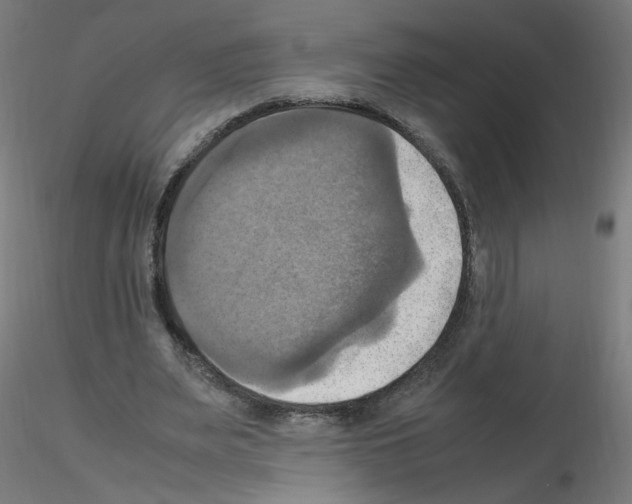 X0000115560487200912181621